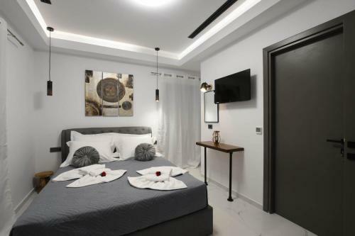Villa Orion Eco Suites