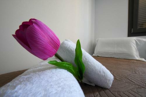 Villa Orion Eco Suites