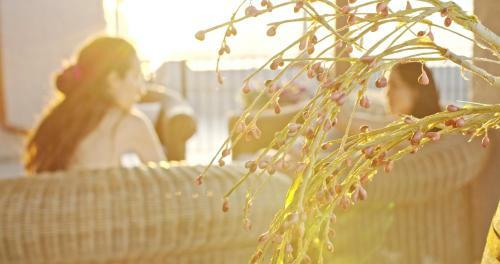 Waterlily Hotel Apartments