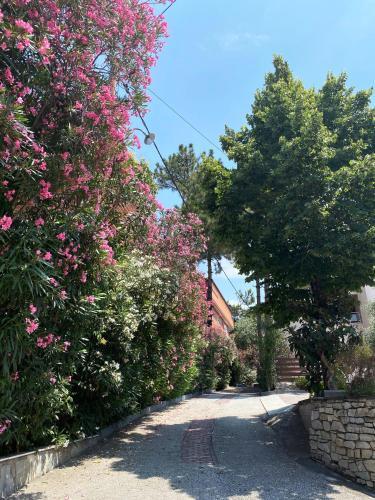 Apartamento Ktima Papaoikonomou 2