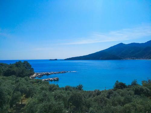 Hotel Celeste Golden Beach
