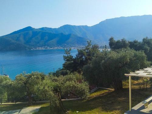 Hotel Celeste Golden Beach