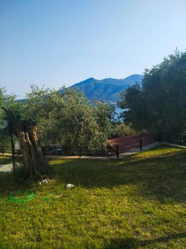 Hotel Celeste Golden Beach