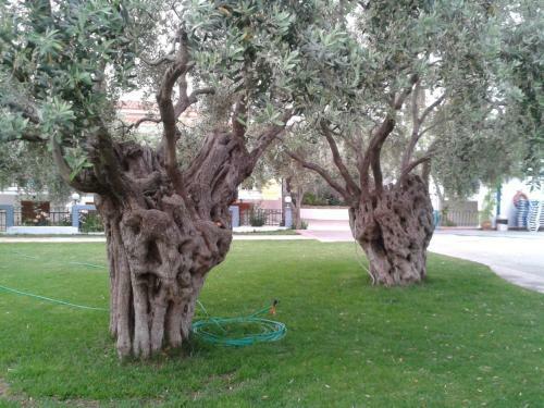Apartamento Makedonia
