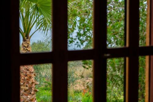 Hotel Elena Bungalows