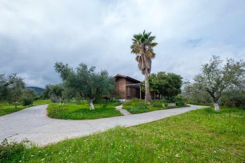 Hotel Elena Bungalows