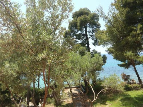 Apartamento Seafront Loft In Akti Elia