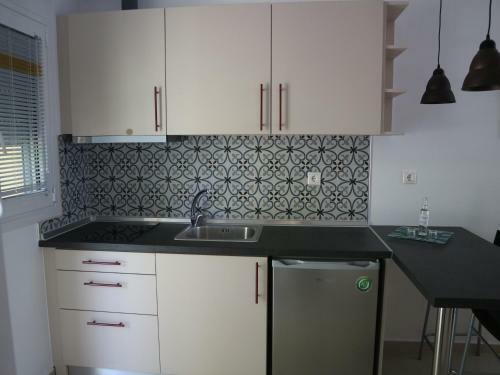 Apartamento Seafront Studio Akti Elia
