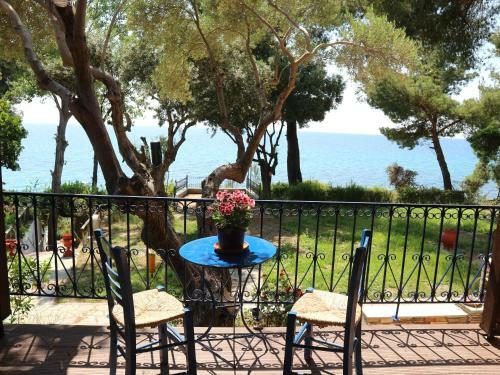 Apartamento Seafront Studio Akti Elia