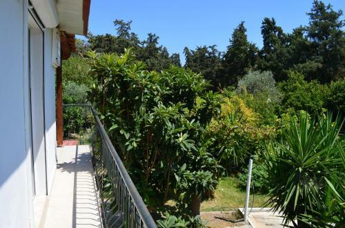 Apartamento Artemis Studios - Pool And Garden