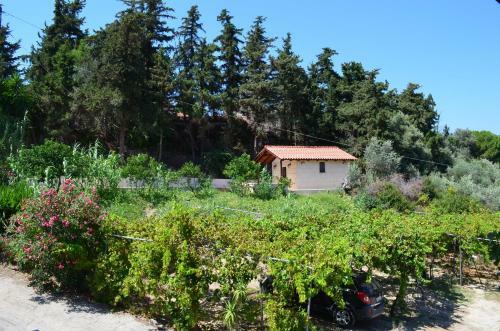 Apartamento Artemis Studios - Pool And Garden
