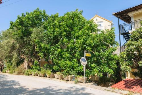 Apartamento Studio Timotheos