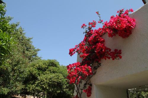 Apartamento Casa Kalypso
