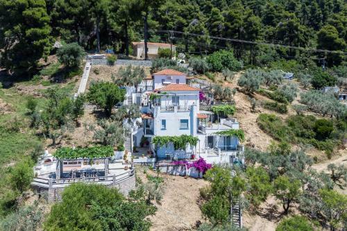 Hostal Stamatiou Estate