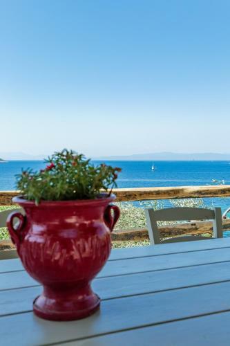 Hostal Stamatiou Estate