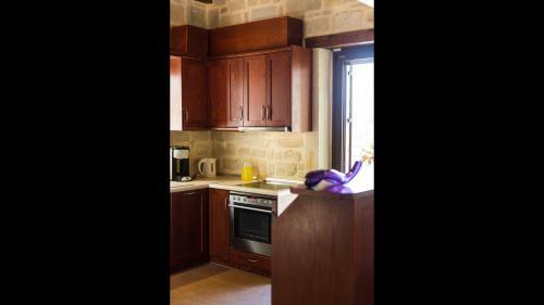 Villa Poseidon Lefkogis