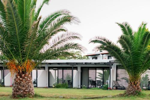 Aparthotel Samothraki Beach Apartments & Suites Hotel