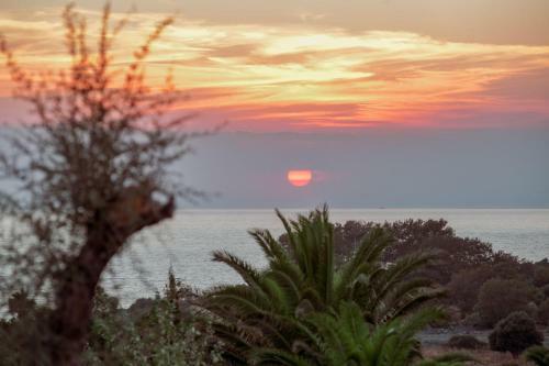 Aparthotel Samothraki Beach Apartments & Suites Hotel