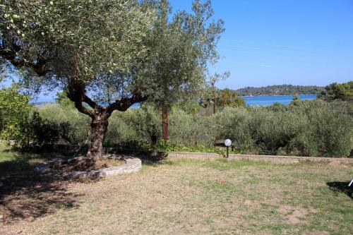 Apartamento Philippos 2