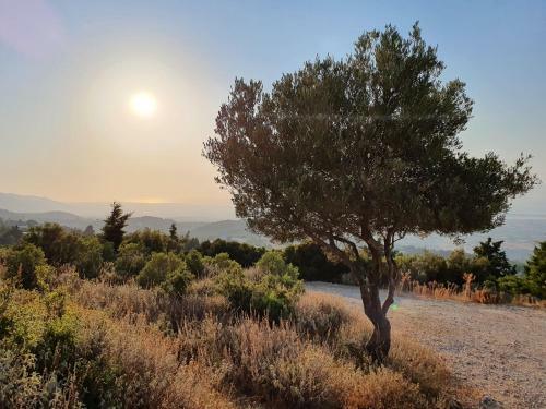 Apartamentos Orea Ellas Kos - Deluxe Residences