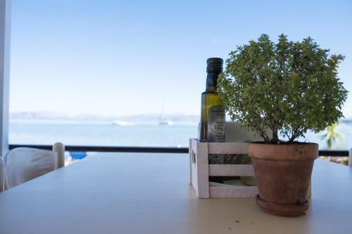 Bed & Breakfast Christina Beachfront Rooms