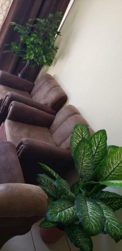 Executive Apartment