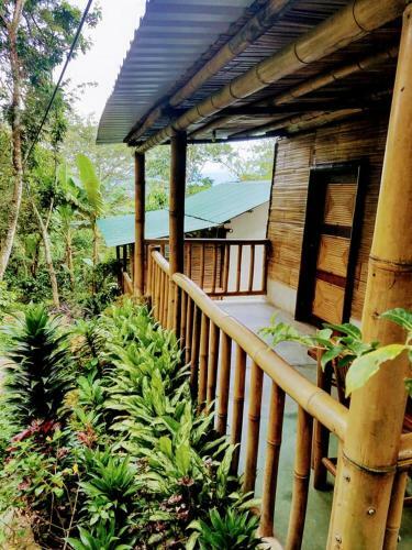 Agroturismo Bel�n Vivero Caf�