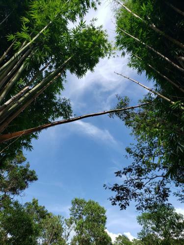 Agroturismo Bel�n Vivero Caf�