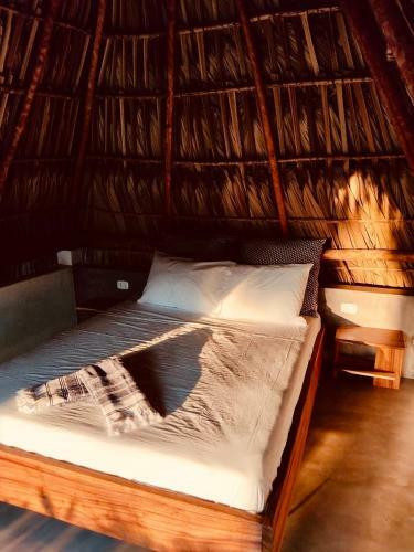 Mellow Hostel El Paredon
