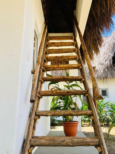 Mellow Hostel El Paredon