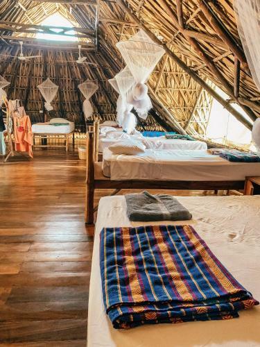 Hotel Paredon Surf House