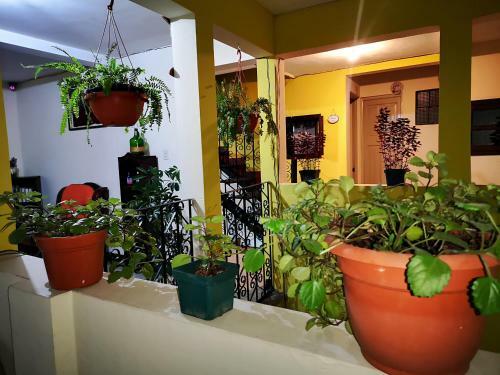 Hotel Paseo Hunahpu