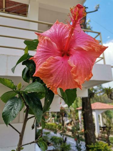 Pescador Hotel Ph