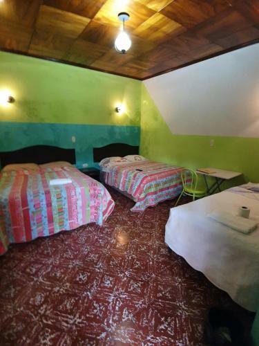 Hotel Kasa Kamelot Central