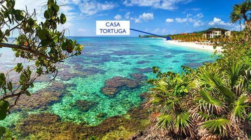 Casa Tortuga Home