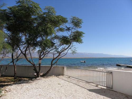 Apartments Stjepan-10m From Beach