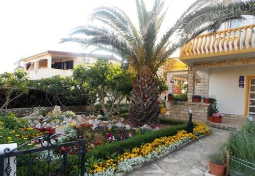 Studio Apartment In Vir (4776-3)