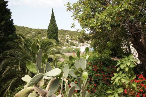 Holiday Home (139-3)