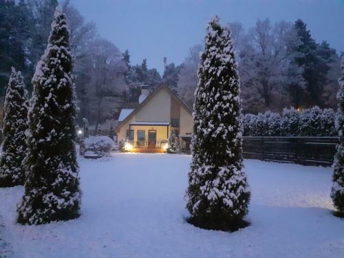Forest Edge Lodge And House
