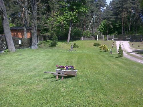 Forest Edge Lodge And House