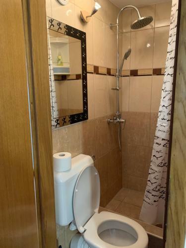 Apartmani ?osi?