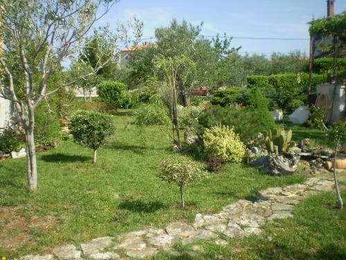 Apartments Segio 1803