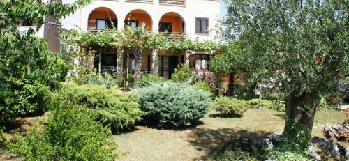 Apartments Segio 1803