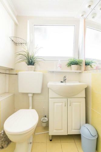 Apartment Buza