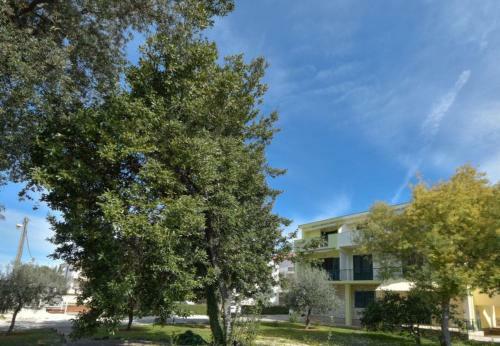 Apartments Dome - 150m From Sea