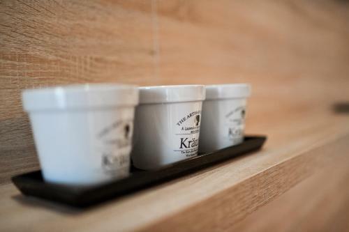 Bellevue Hill Apartment