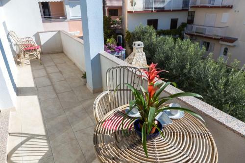 Apartments Emzi