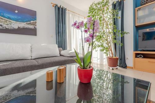 Romantic Oasis Modern Apartment