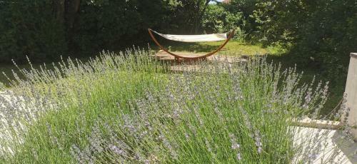 Villa Natural