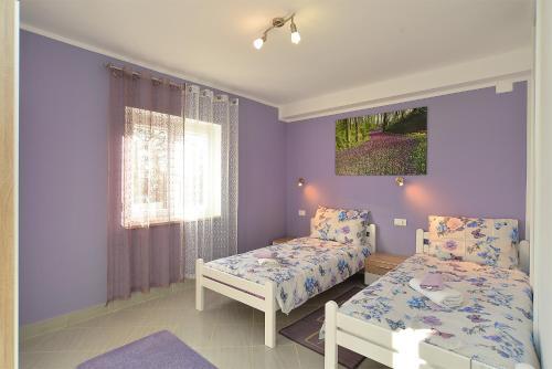 House Roza 2065